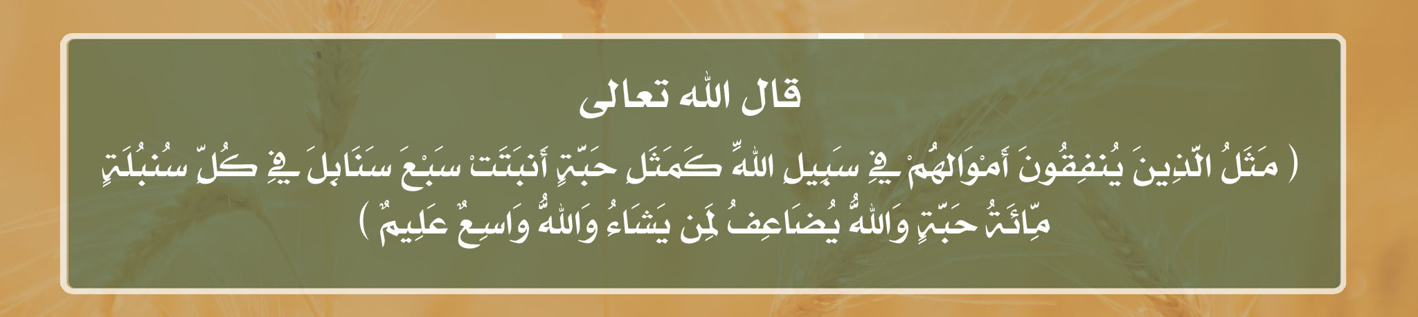 مؤسسة عطية جابر الرحيلي الأهلية